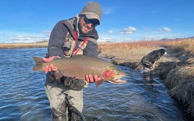Dream Stream Fishing Report