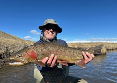 Giant cut bow trout from South Park Colorado.
