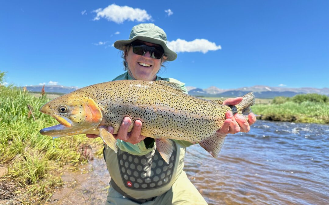 Summer Update // South Platte River, North Fork, and Rolling J Ranch!
