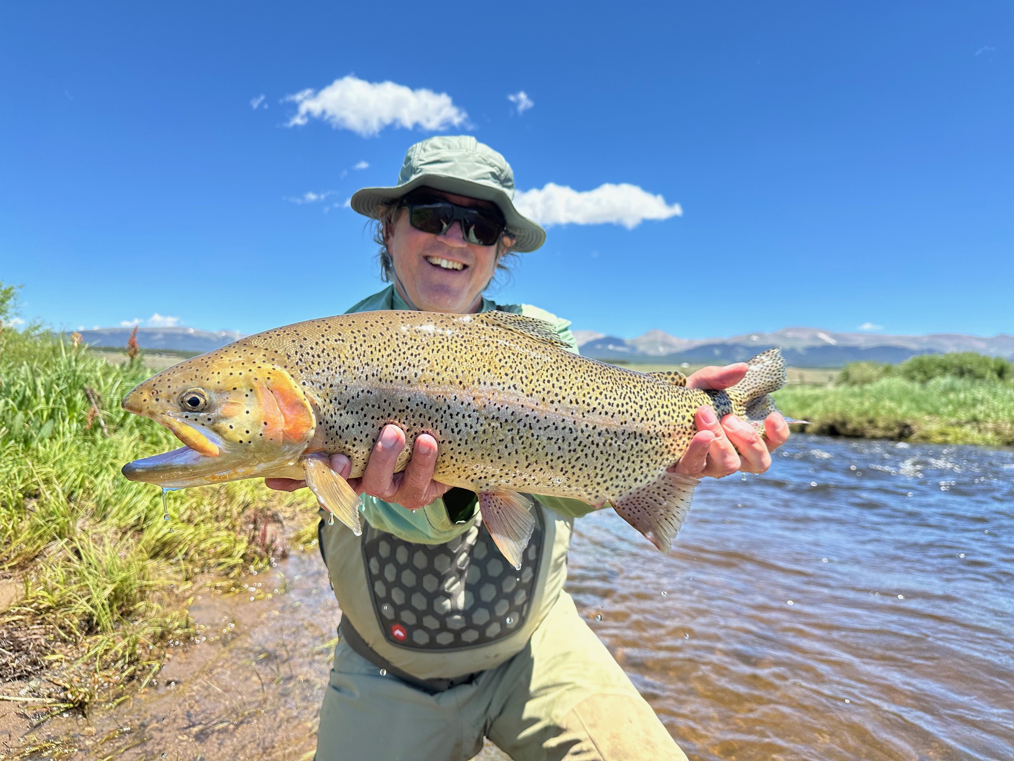 Big trout landed on a guided fly fishing trip near Denver