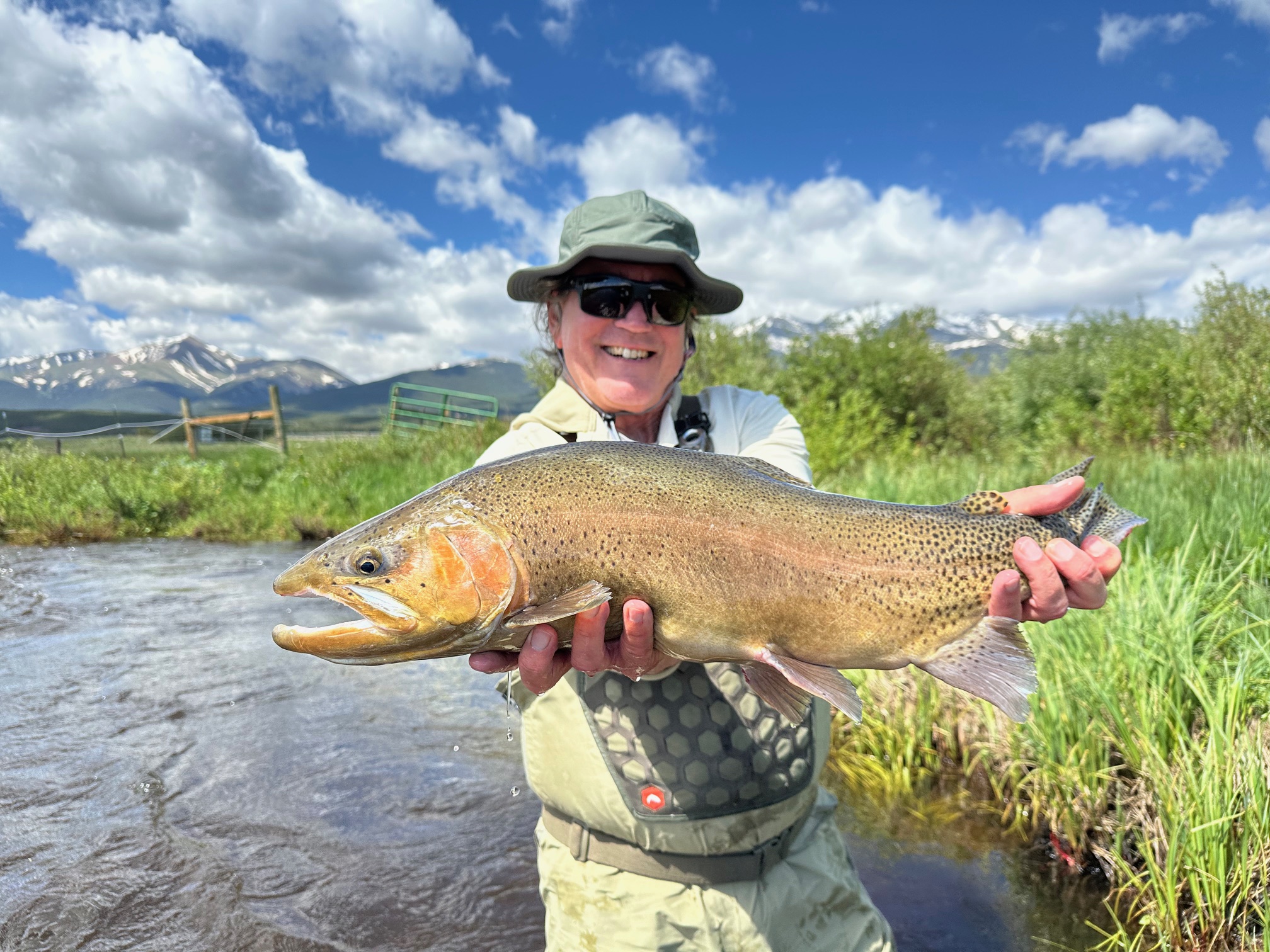 Rolling J Ranch Giant Trout Huge cutthroat trout from Rolling J Ranch and a Colorado guided fly fishing trip