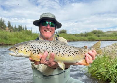 Big brown trout that ate a dry fly on the Middle Fork of the South Platte