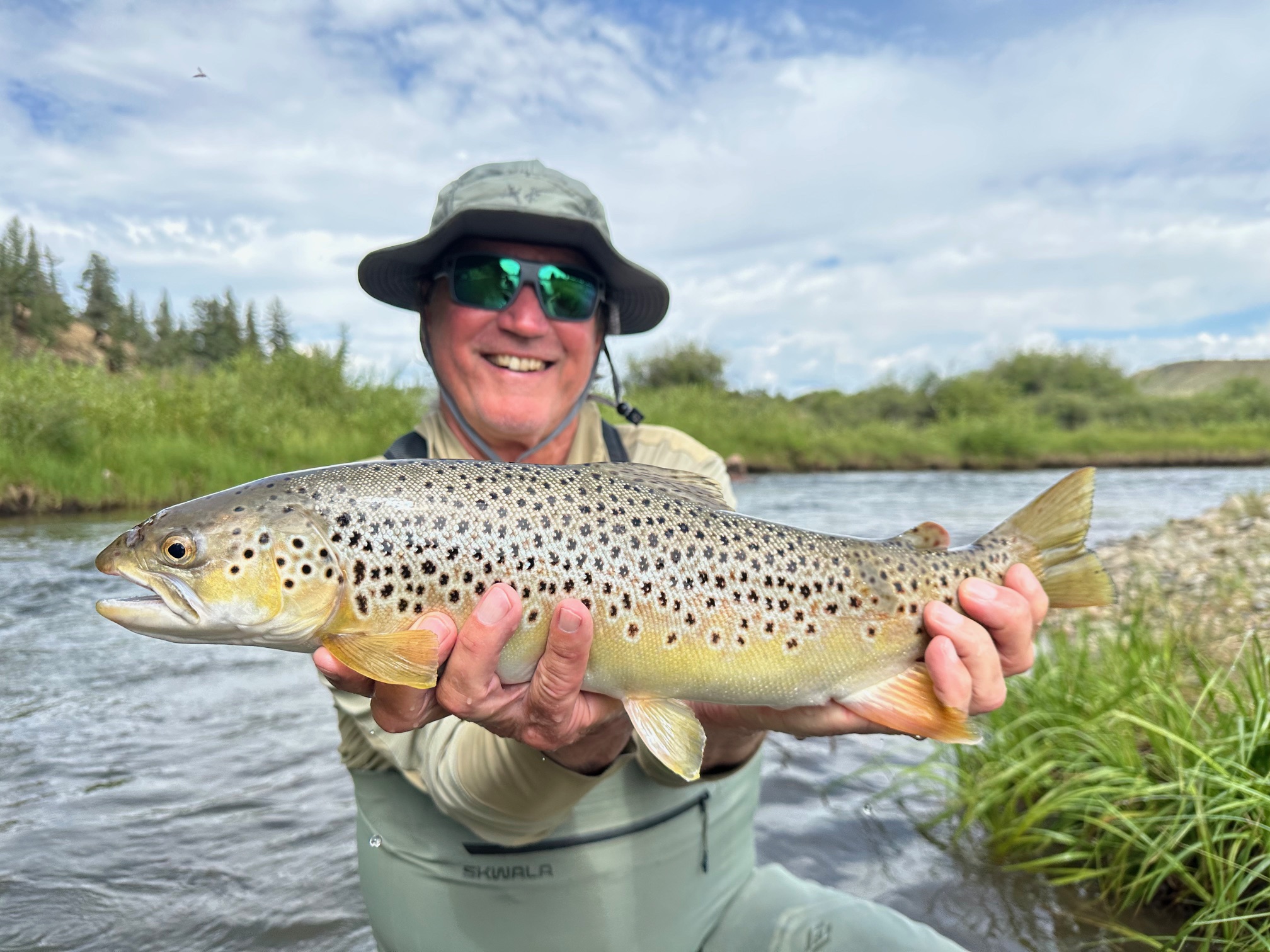 Big brown trout that ate a dry fly on the Middle Fork of the South Platte
