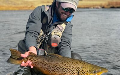 Fall Dream Stream Report
