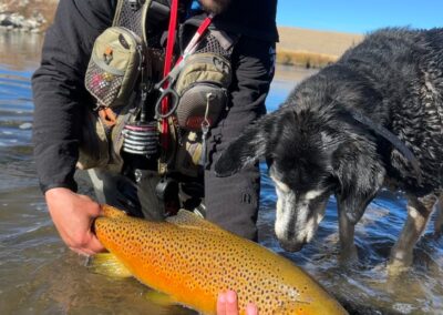 Danny Frank and his dog Rio with a big South Platte Brown Trout