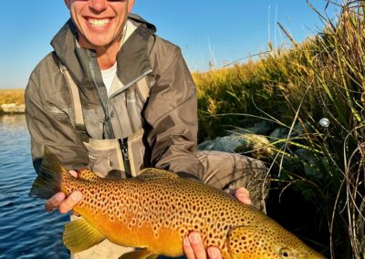Big brown trout on a guided fly fishing trip to the Dream Stream.