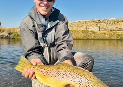 Big fall brown trout from a guided fly fishing trip to the Dream Stream.
