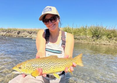 Brown Trout that took at dry fly on the Middle Fork of the South Platte
