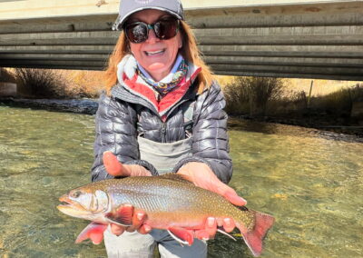 Big Brook Trout near Denver
