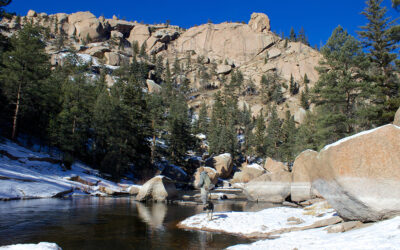 Winter Fly Fishing Advice
